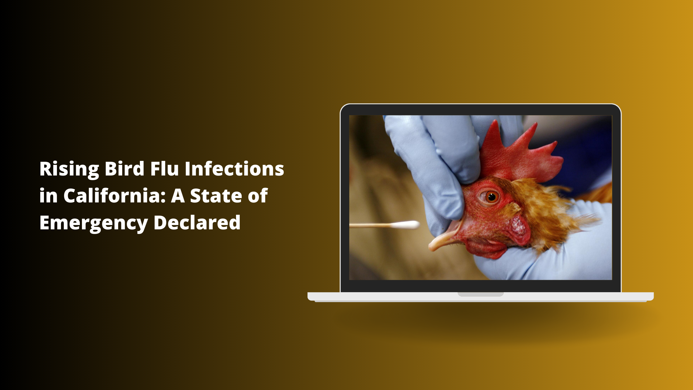 Rising Bird Flu Infections in California: A State of Emergency Declared